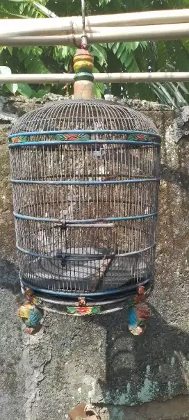 Jual sangkar bulat besar