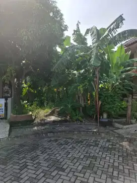 Jual tanah ngantong di Pantai Mentari
