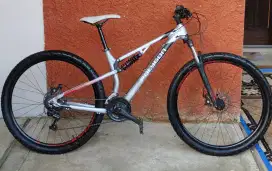 POLYGON RAYZ ONE JOSSS