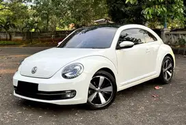 [KM 13 RB] VW Beetle 1.4 Panoramic 2013/2014 Antik Collectors Item!