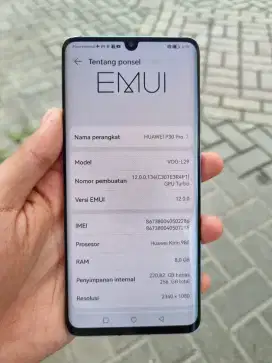 Huawei P30 Pro Indonesia
