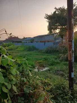 Lahan kosong pinggir jalan raya disewakanan