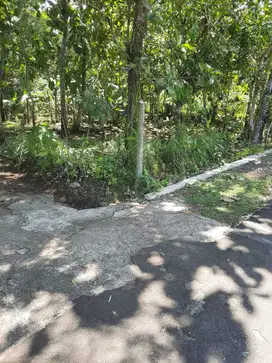 Tanah pekarangan murah dekat pabrik quick sentolo
