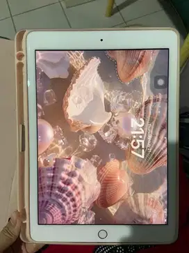 iPad Pro 9.7 inch 2016 128GB