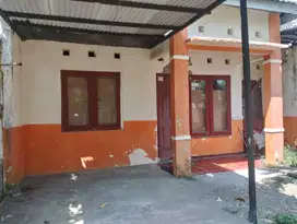 Rumah Kelurahan Tambakri Gadung Kecamatan Tikung Kab Lamongan