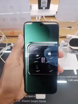 Xiaomi 14 12/256 GB