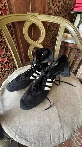 adidas box hog 2 sepatu boxing
