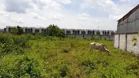 TANAH NEMPEL SUVARNA SUTERA SUDAH SHM