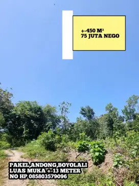 DIJUAL TANAH PEKARANGAN AREA PAKEL, ANDONG, BOYOLALI