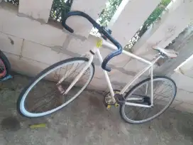 Fixie , doltrap
