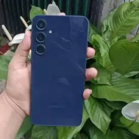 Samsung galaxy a55