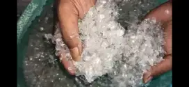 Biji plastik Pet Bening