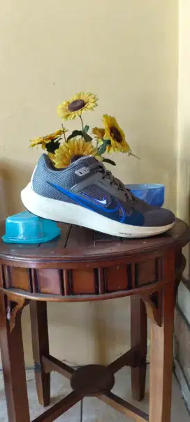 Nike Air Pegasus 4