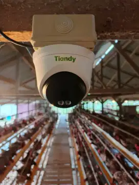 IP CAM TIANDY SUPPORT AUDIO
