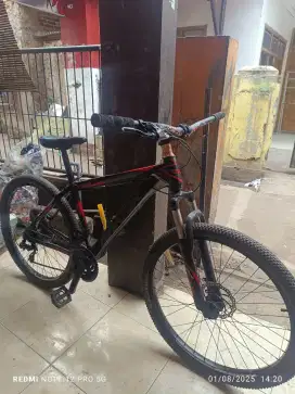 Sepeda gunung Aviator