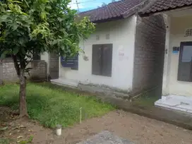 Rumah Siap Huni Rp 126jt di Jembrana - Bali