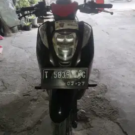 Honda Genio 2022