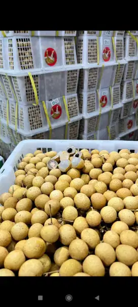 Buah kelengkeng