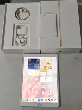 Ipad Air 3 256gb Wifi only