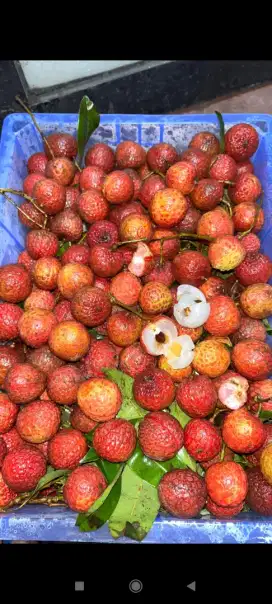 Buah leci merah 1 kg