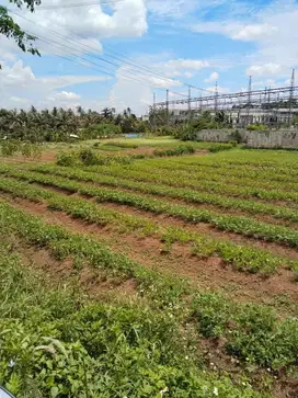 Tanah Dijual – Lokasi Strategis Pinggir Jalan Kampung!