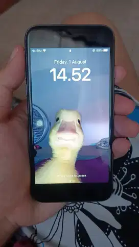 iphone 8 wifi only 64 gb