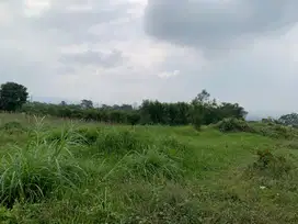 Tanah Murah Landungsari, Dekat Pondok Thursina dengan Jalan Akses Bagu