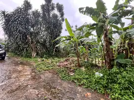 Tanah SHM Sawangan, 10 menit Tol Pamulang