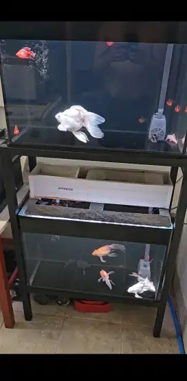 Aquarium full set, 2 pcs termasuk rak besi holo