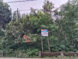 DIJUAL TANAH PEMUKIMAN PUNGGING MOJOKERTO