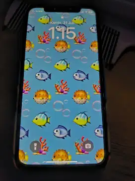 iPhone Xs 4/64 hp cas