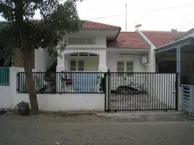 Jual Cepat Rumah Sudah Renov CitraLand Bukit Palma, Pakal, Surabaya.