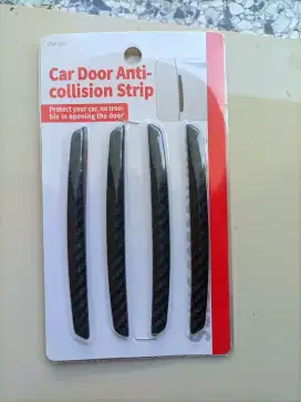 Door Guard Model Carbon Sport