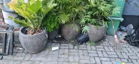 DIJUAL CEPAT POT TANAMAN