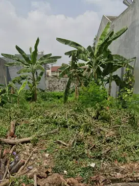 DIJUAL TANAH KOSONG MARGOREJO INDAH
