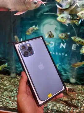 Iphone 12 promax 256 inter