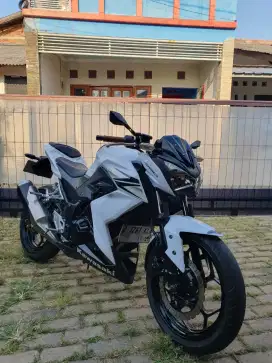Kawasaki Z250FI White Edition (2slinder)