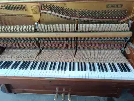 Piano Nier 626 brown