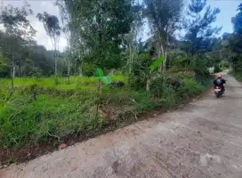Tanah Ujung Berung Cijambe Bandung Timur