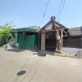 Dijual Paling Murah Rumah Taman Pinang Sidoarjo