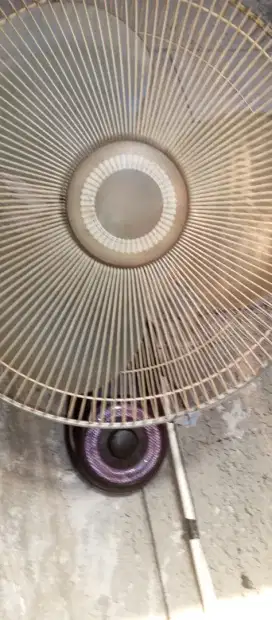 Kipas angin tembok 16 miyako