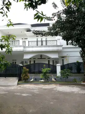 Rumah Luas Ada Kolam Renang Di Bintaro 8032