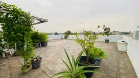 Rumah 12x21 Bisa Untuk Usaha Griyaloka BSD