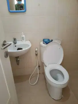 Dijual Rumah ukuran 6x15 SHM di Cluster Michelia By Rumah Chinida