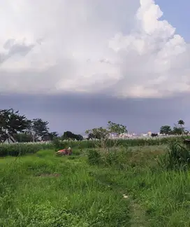 Tanah Cocok Untuk Investasi atau Kegiatan Bisnis di Kota Malang Lokasi