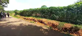 Per Meter Hanya 950 Ribu, Tanah Rumpin Murah Dekat Pusdiklat KEMHAN.
