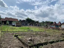 Tanah Pekarangan Strategis di Kalasan Sleman TP 034