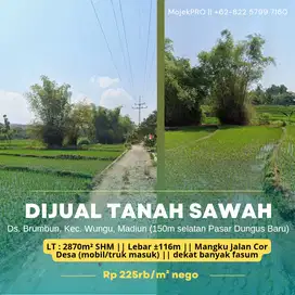 Dijual Tanah Sawah 150m Selatan Pasar Dungus Baru
