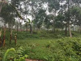 Beli Kavling di Sukamukti Sekarang, Nikmati Potensi Kenaikan Nilainya