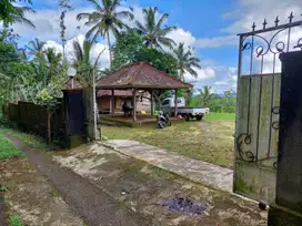 jual murah tanah berbukit tabanan,bali